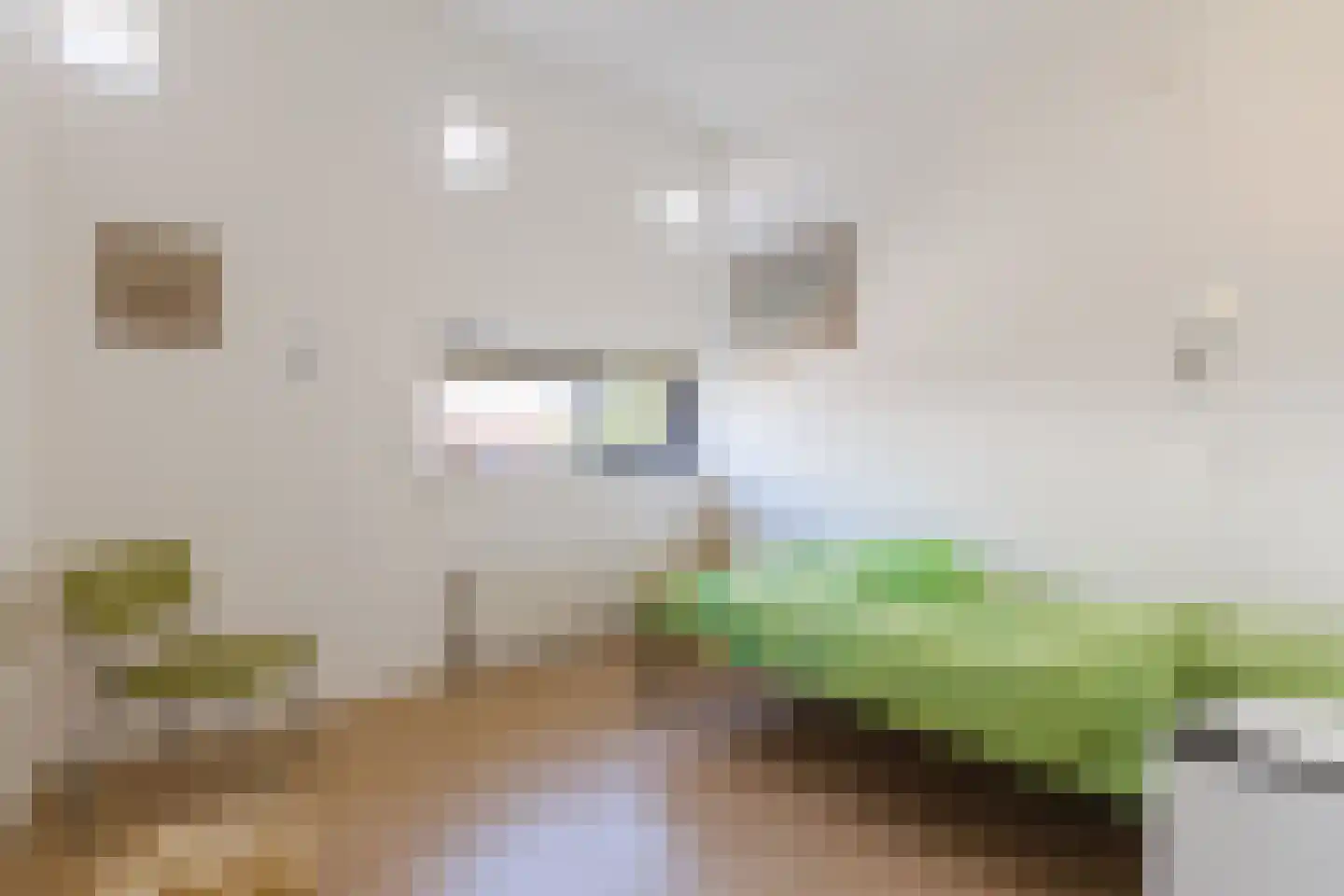 Johan Frisolaan 13 Harmelen thumbnail 32
