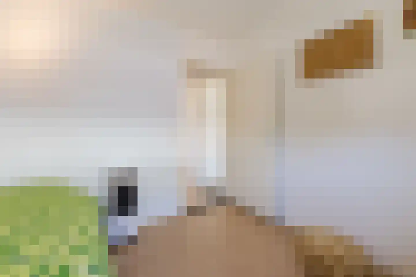 Johan Frisolaan 13 Harmelen thumbnail 33