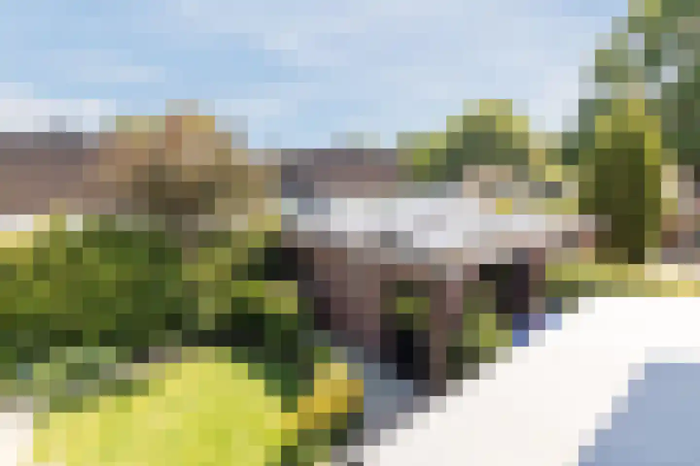 Johan Frisolaan 13 Harmelen thumbnail 45