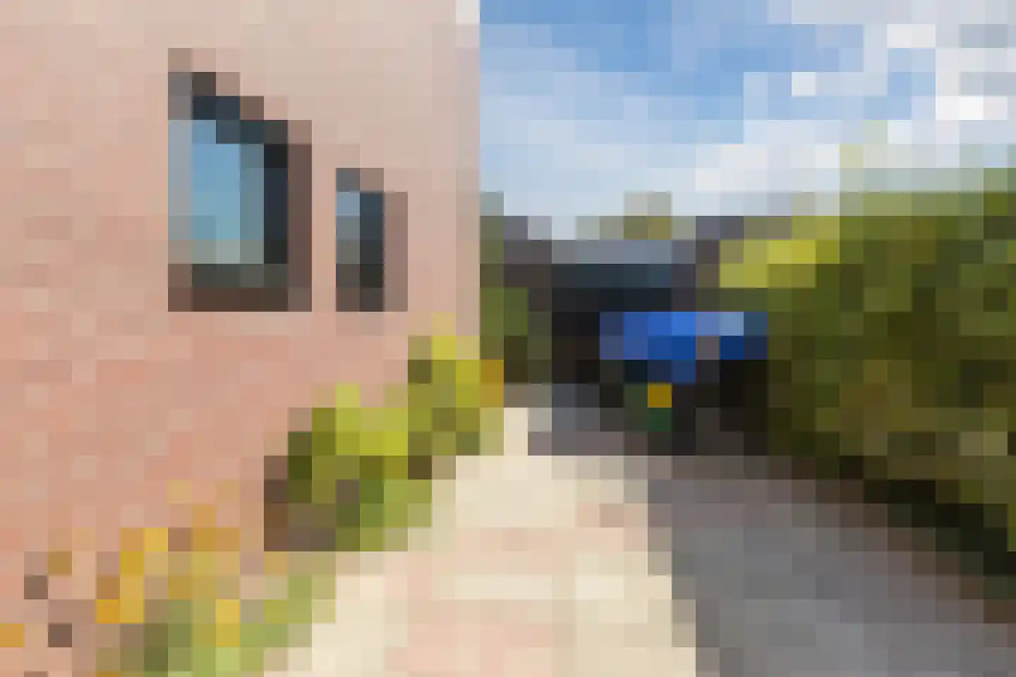 Johan Frisolaan 13 Harmelen thumbnail 51