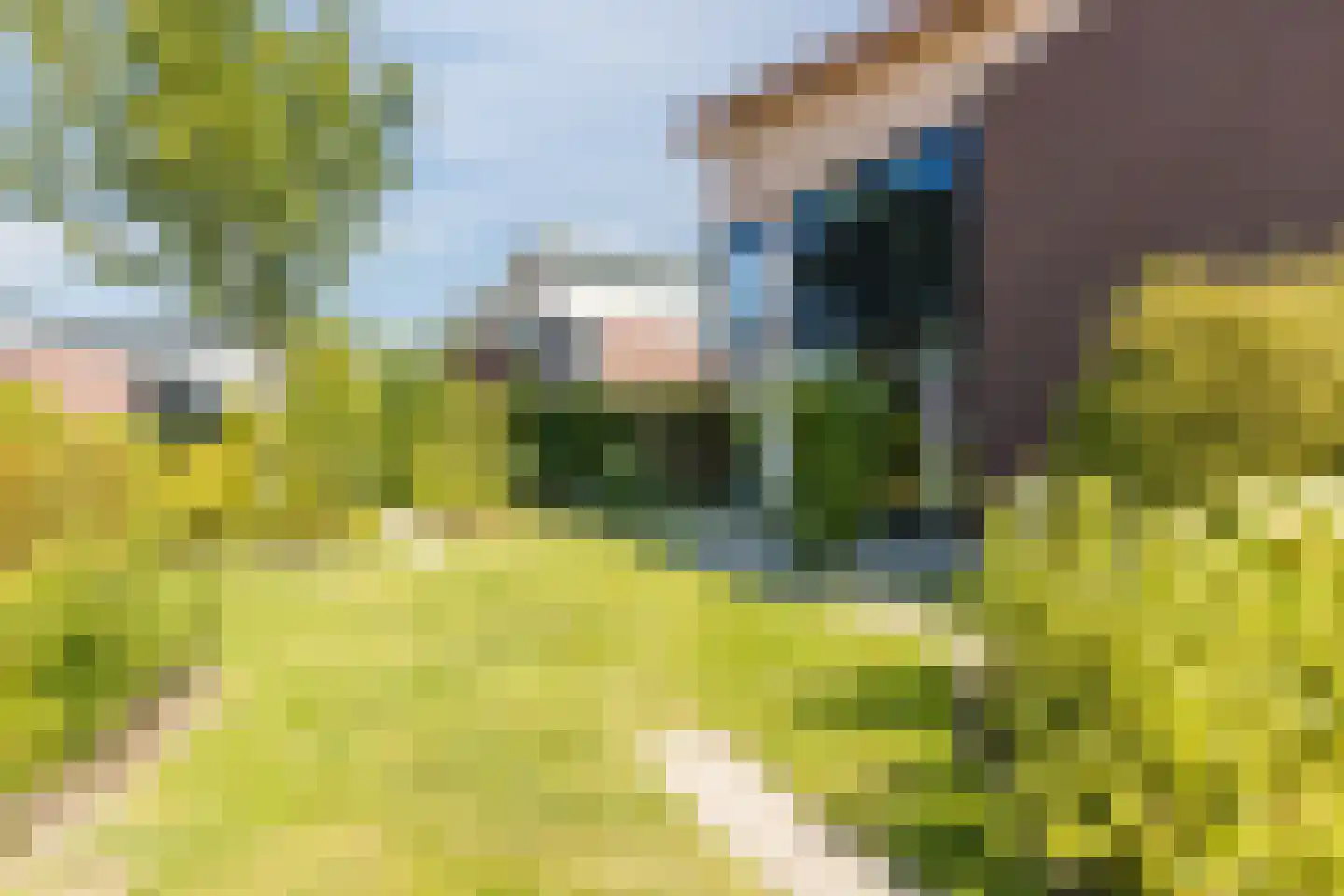 Johan Frisolaan 13 Harmelen thumbnail 54