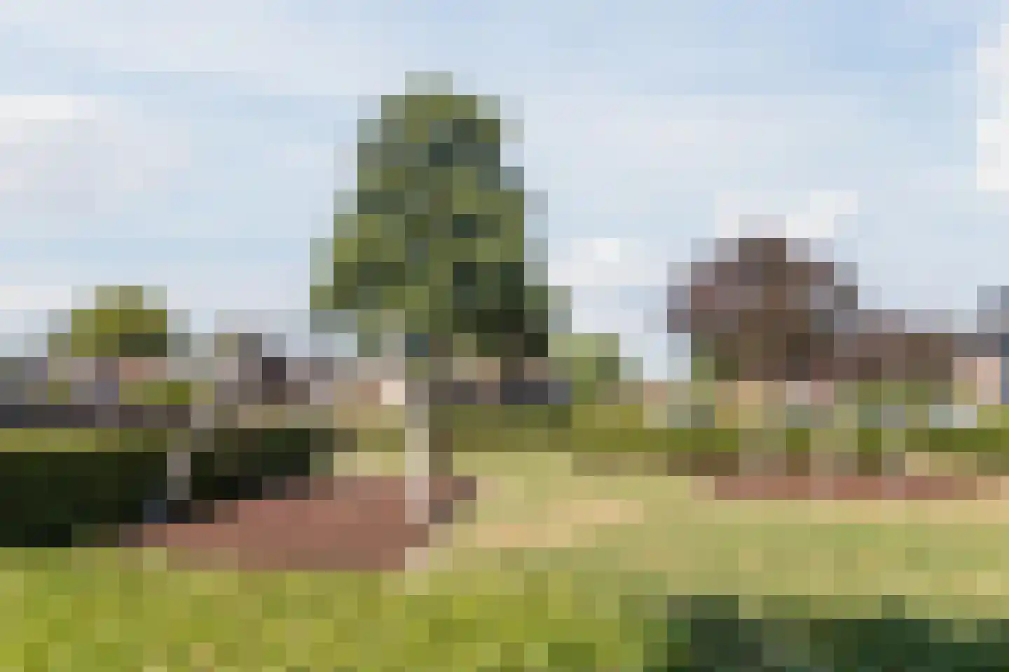 Johan Frisolaan 13 Harmelen thumbnail 61