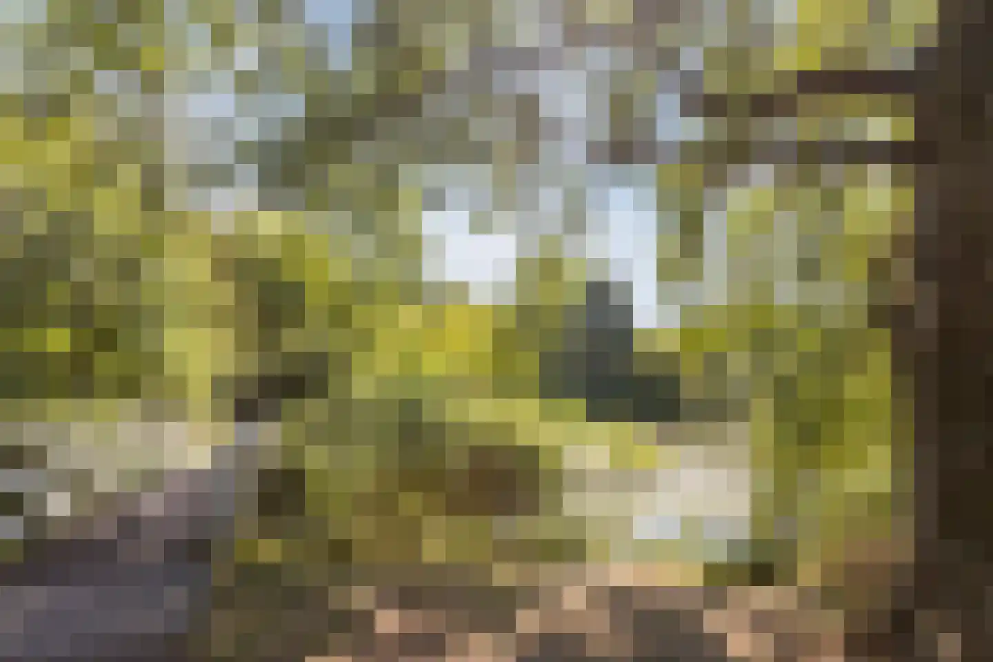 Johan Frisolaan 13 Harmelen thumbnail 64