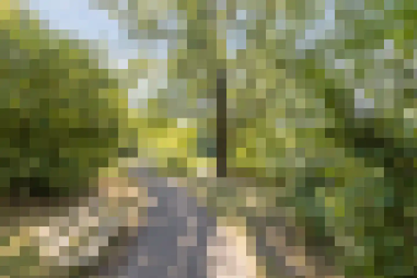 Johan Frisolaan 13 Harmelen thumbnail 65