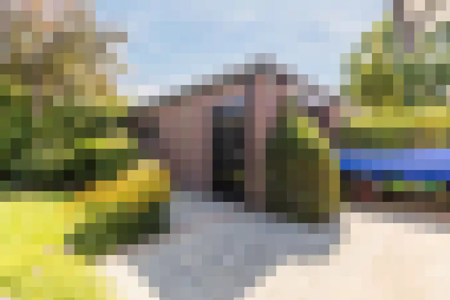Johan Frisolaan 13 Harmelen thumbnail 7