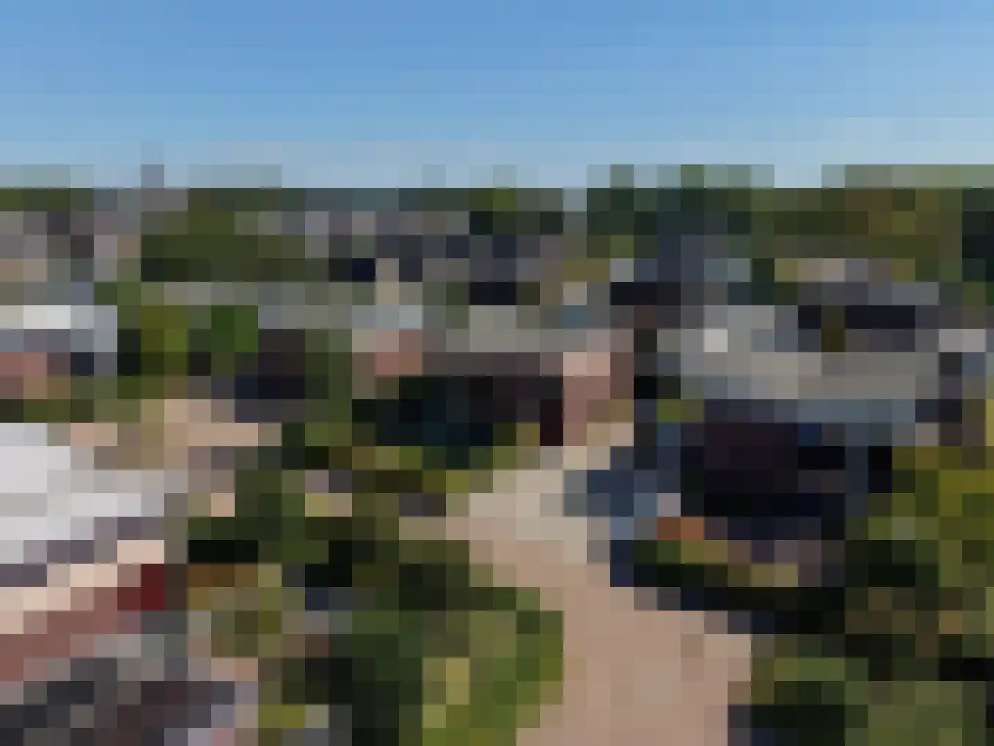 Johan Frisolaan 13 Harmelen thumbnail 8