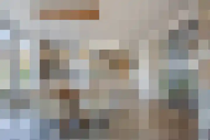 Johan-Frisolaan 14 Haps thumbnail 11