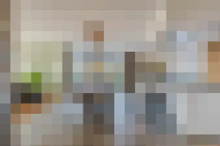 Johan-Frisolaan 14 Haps thumbnail 13