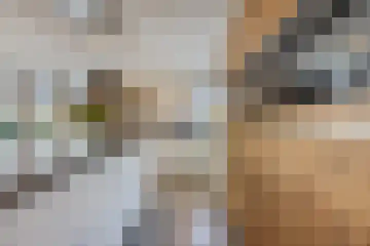 Johan-Frisolaan 14 Haps thumbnail 14