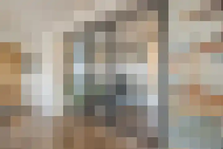 Johan-Frisolaan 14 Haps thumbnail 16