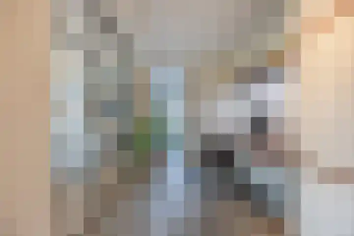 Johan-Frisolaan 14 Haps thumbnail 17