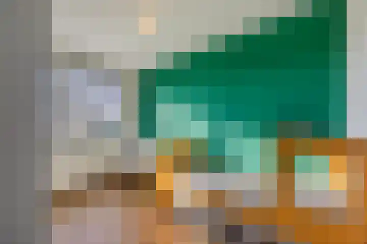 Johan-Frisolaan 14 Haps thumbnail 22