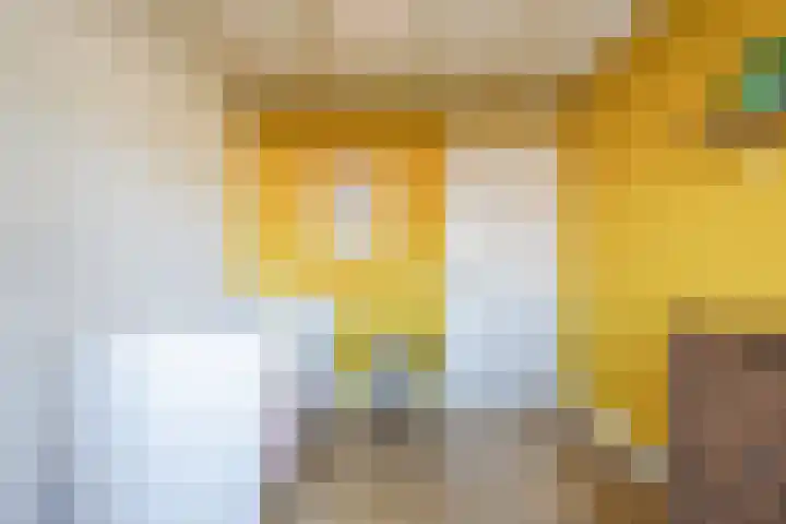 Johan-Frisolaan 14 Haps thumbnail 25