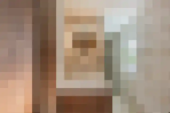 Johan-Frisolaan 14 Haps thumbnail 26