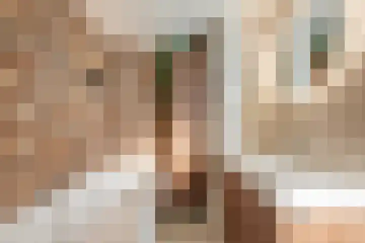 Johan-Frisolaan 14 Haps thumbnail 28