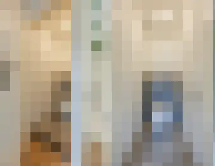 Johan-Frisolaan 14 Haps thumbnail 31