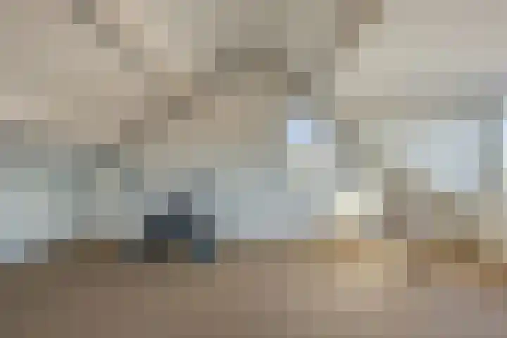 Johan-Frisolaan 14 Haps thumbnail 34