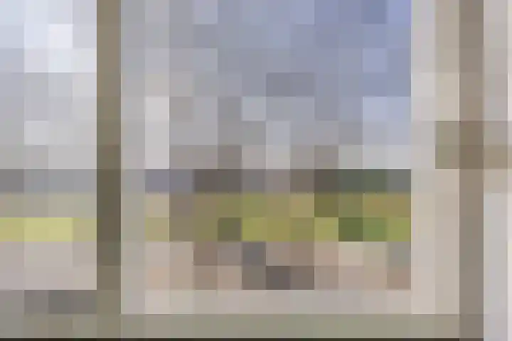 Johan-Frisolaan 14 Haps thumbnail 36