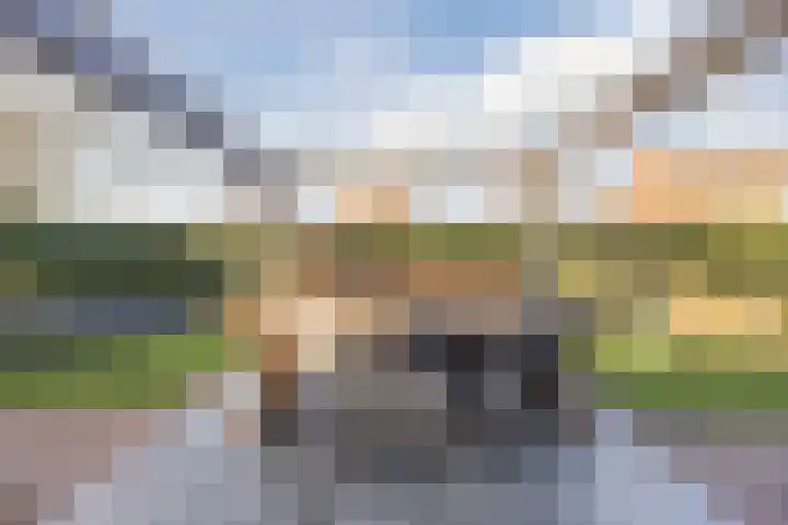 Johan-Frisolaan 14 Haps thumbnail 37