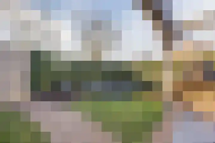 Johan-Frisolaan 14 Haps thumbnail 38