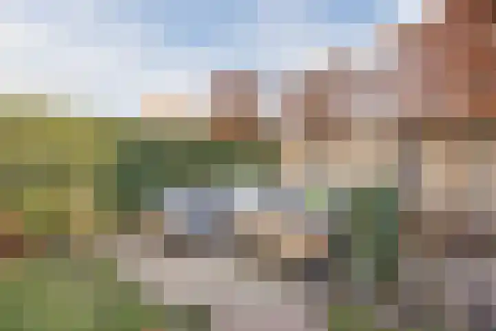 Johan-Frisolaan 14 Haps thumbnail 39