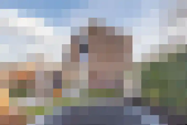 Johan-Frisolaan 14 Haps thumbnail 41