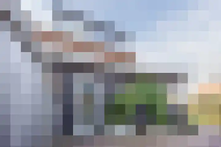 Johan-Frisolaan 14 Haps thumbnail 42