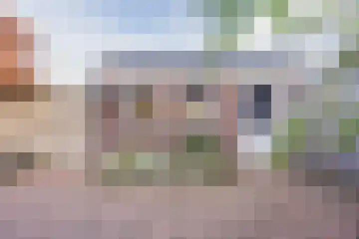 Johan-Frisolaan 14 Haps thumbnail 43