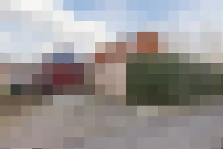 Johan-Frisolaan 14 Haps thumbnail 44
