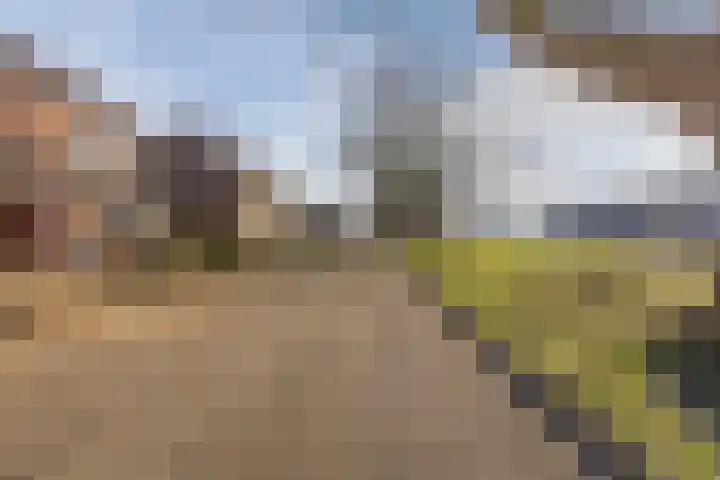 Johan-Frisolaan 14 Haps thumbnail 45