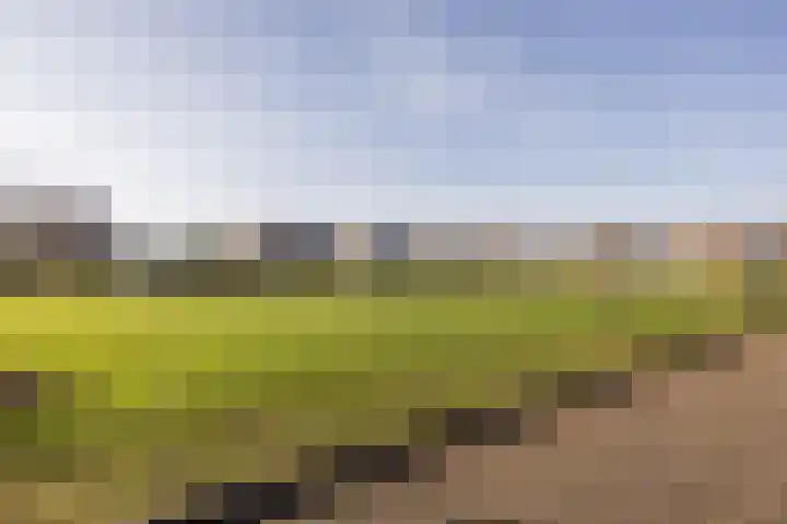 Johan-Frisolaan 14 Haps thumbnail 46