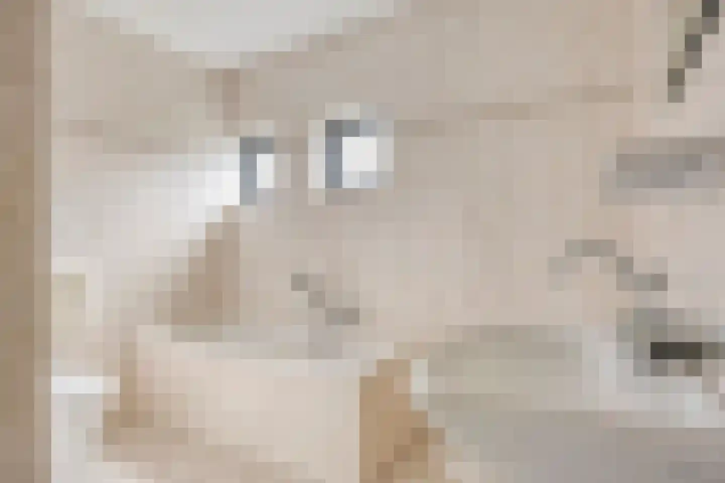 Johan Frisolaan 16 Harmelen thumbnail 11