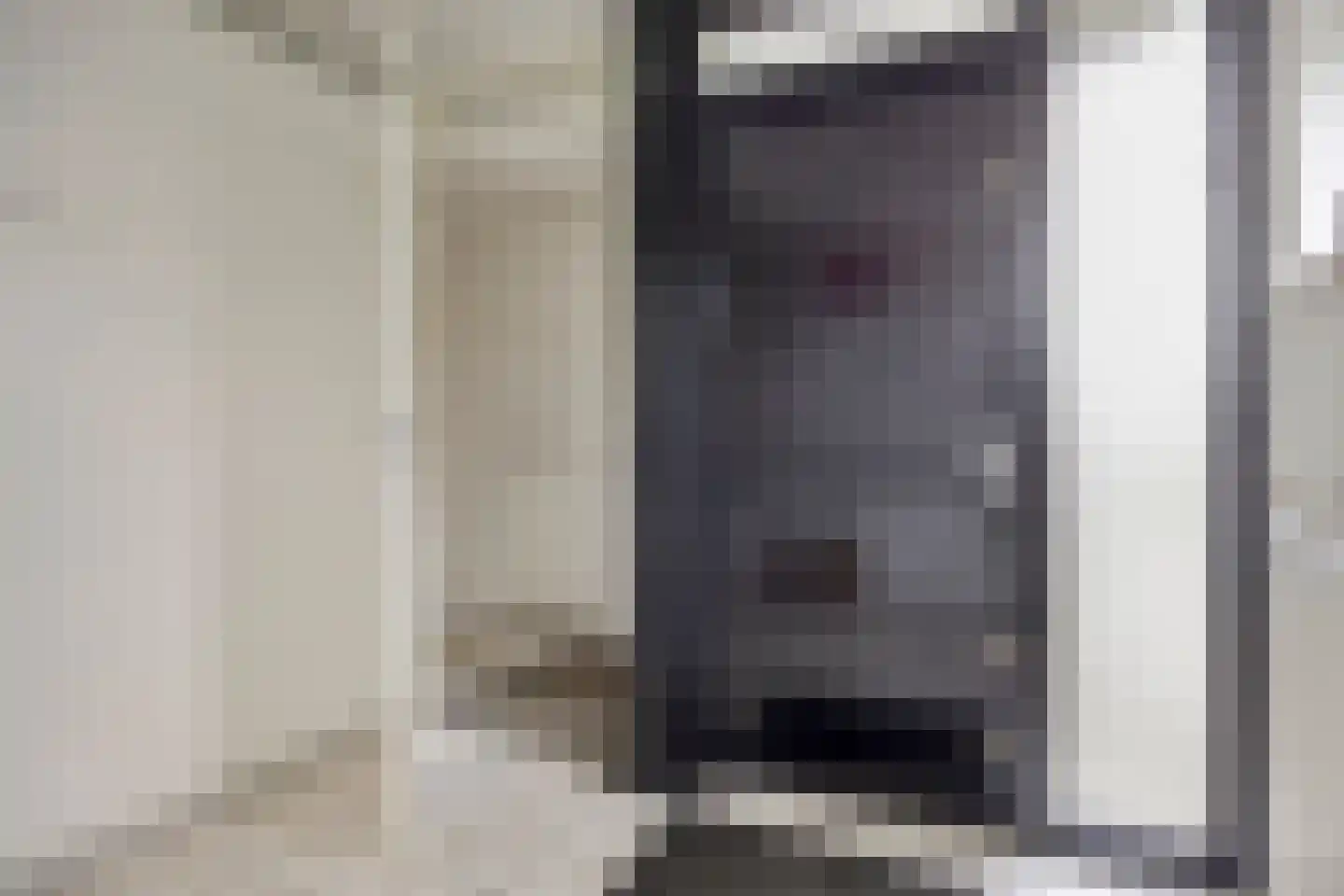 Johan Frisolaan 16 Harmelen thumbnail 15