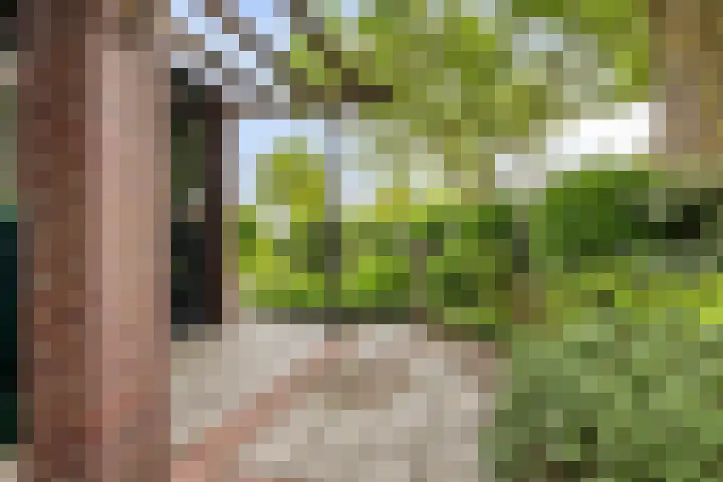 Johan Frisolaan 16 Harmelen thumbnail 26