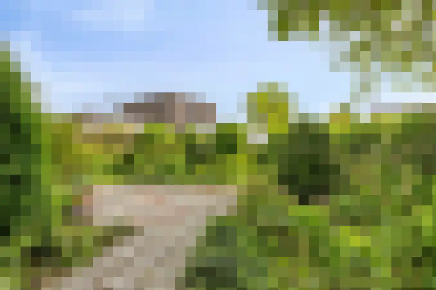 Johan Frisolaan 16 Harmelen thumbnail 28