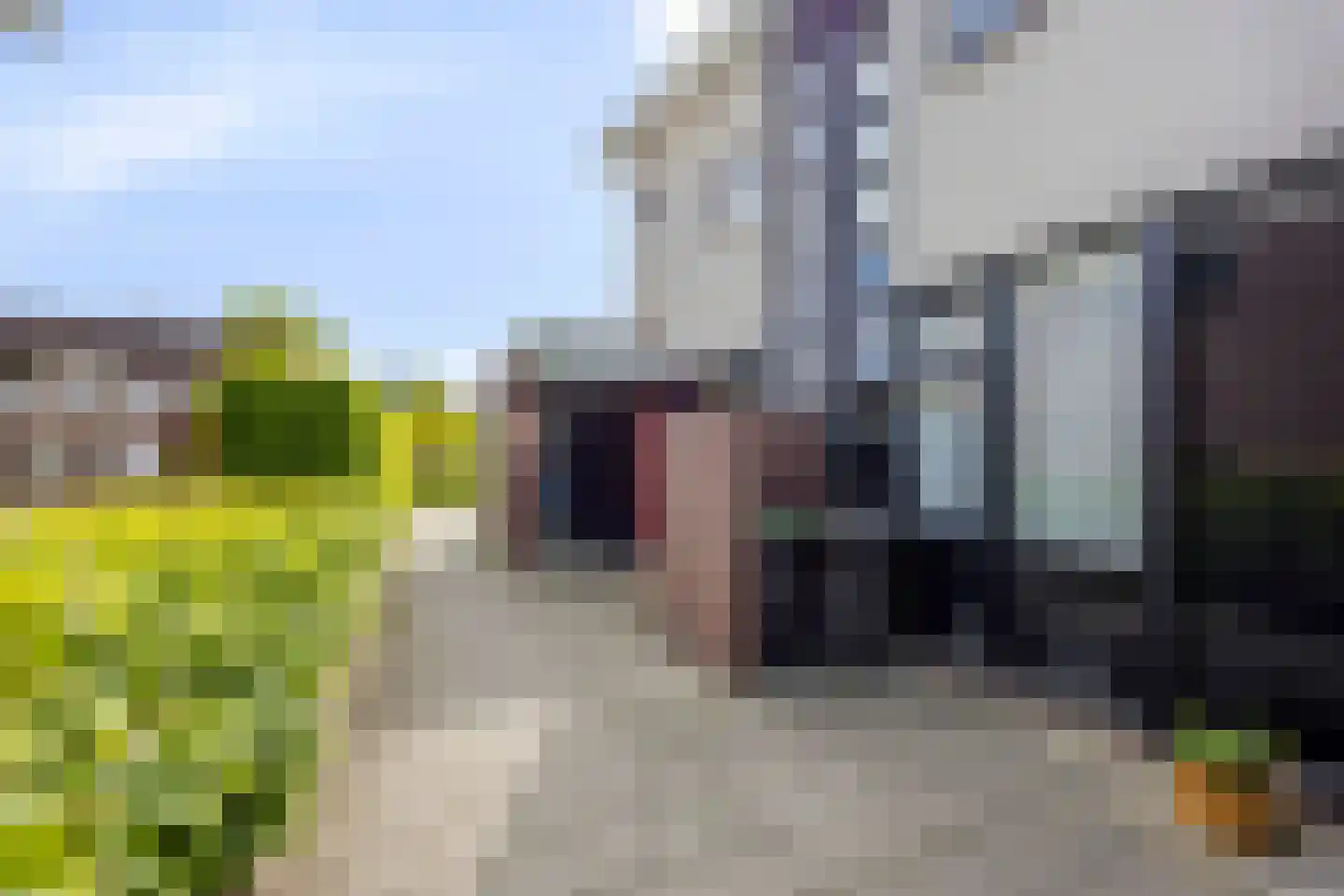 Johan Frisolaan 16 Harmelen thumbnail 31