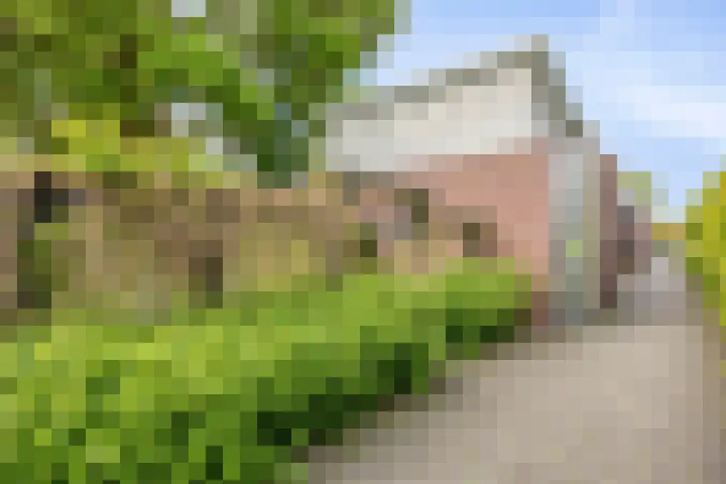 Johan Frisolaan 16 Harmelen thumbnail 32
