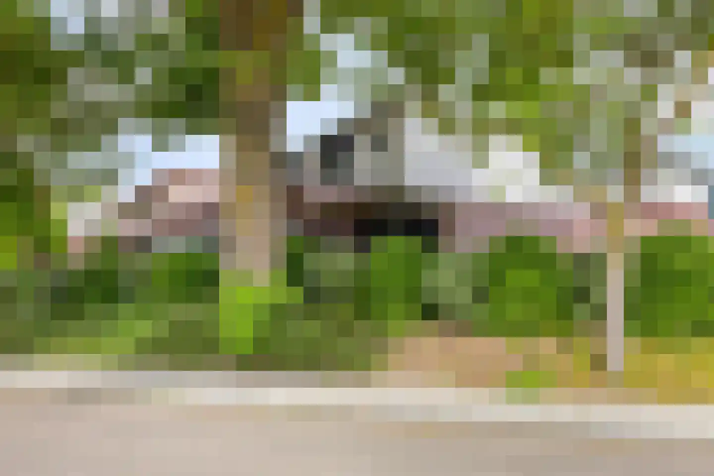 Johan Frisolaan 16 Harmelen thumbnail 33