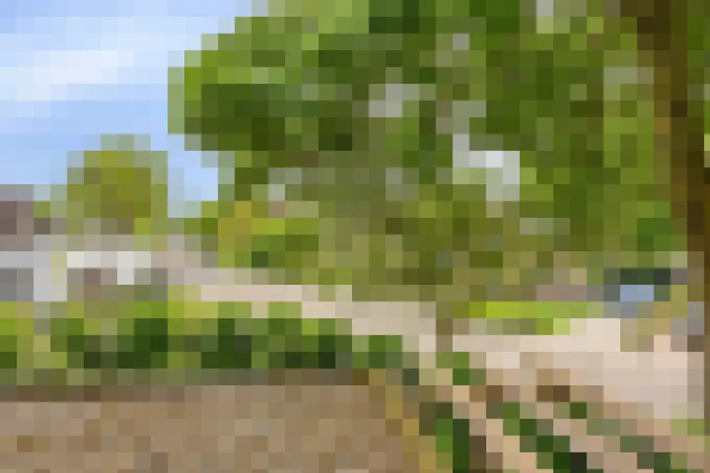 Johan Frisolaan 16 Harmelen thumbnail 36