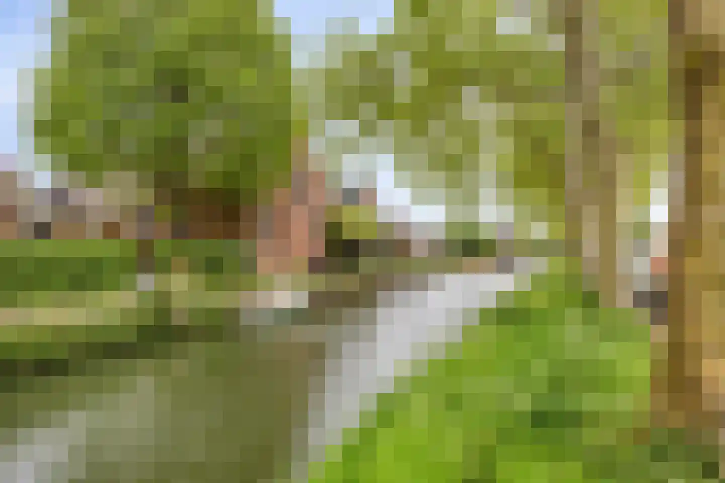 Johan Frisolaan 16 Harmelen thumbnail 38