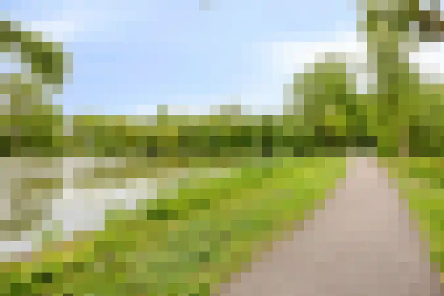 Johan Frisolaan 16 Harmelen thumbnail 41