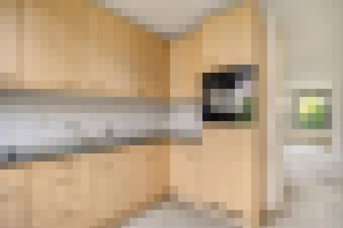 Johan Frisolaan 16 Harmelen thumbnail 5