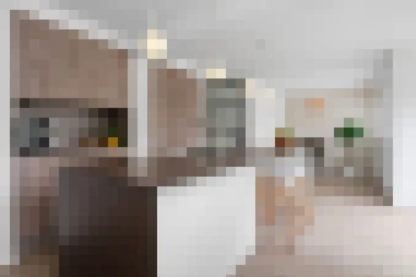 Johan Frisolaan 17 Vught thumbnail 14