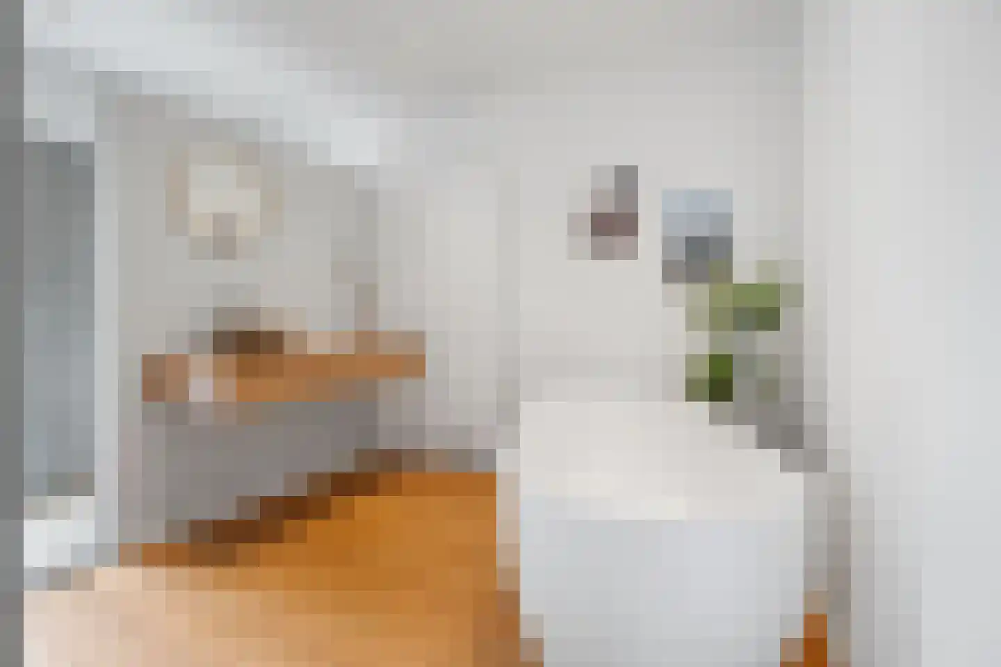 Johan Frisolaan 17 Vught thumbnail 20