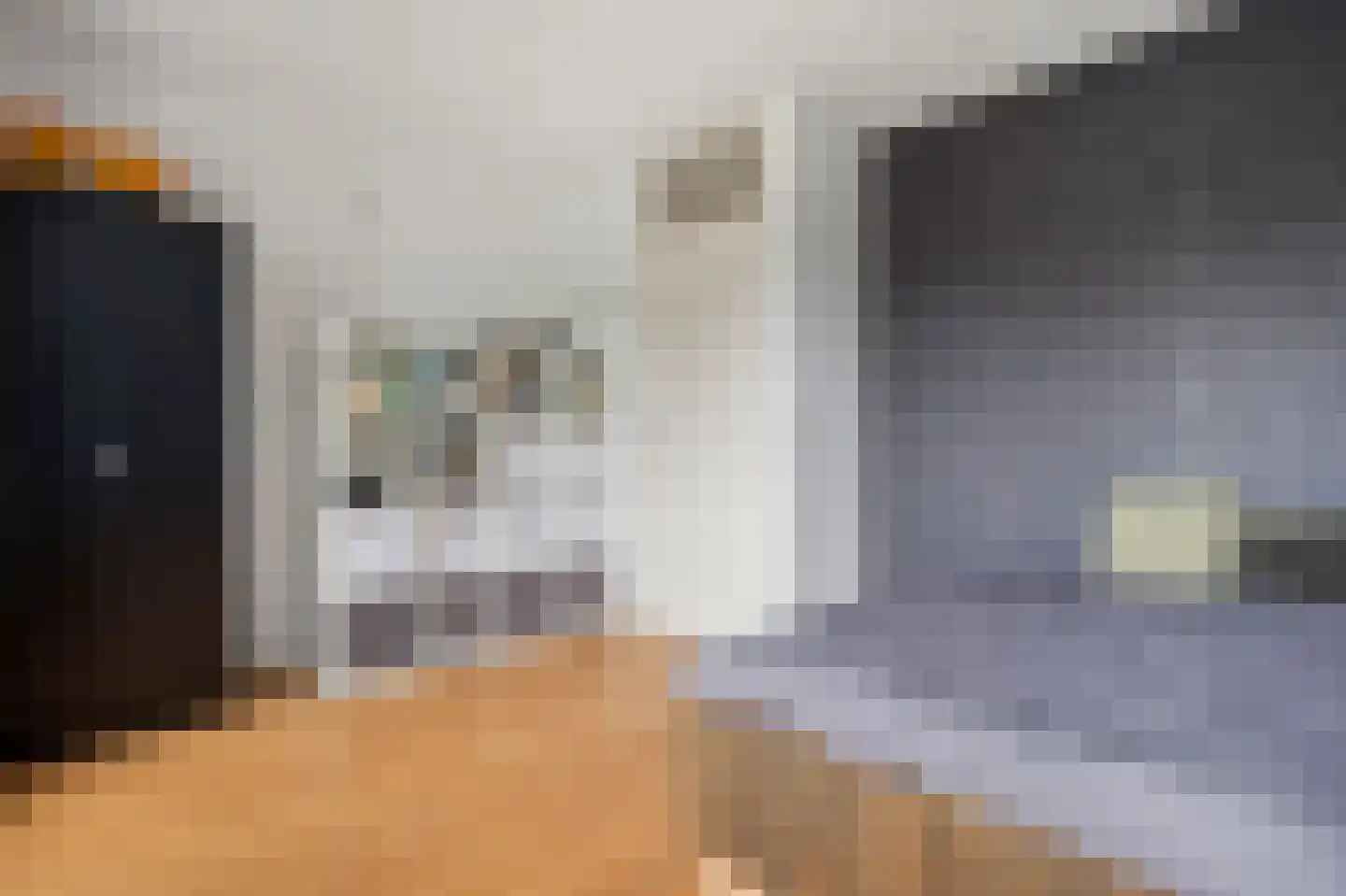 Johan Frisolaan 17 Vught thumbnail 25