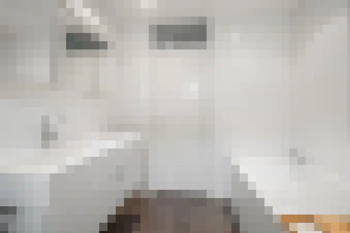 Johan Frisolaan 17 Vught thumbnail 32