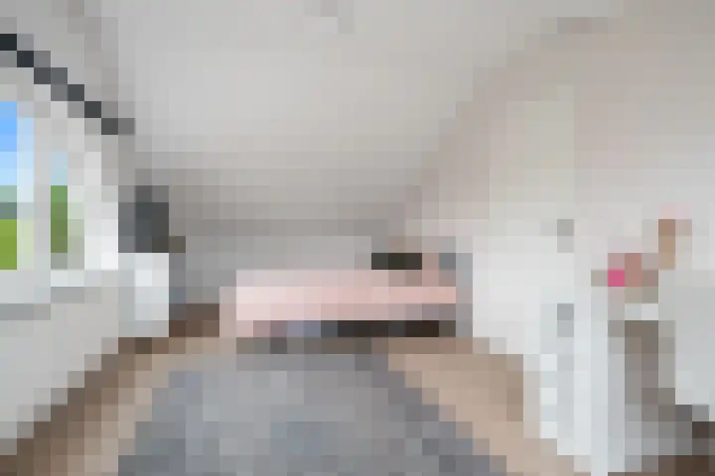 Johan Frisolaan 17 Vught thumbnail 38