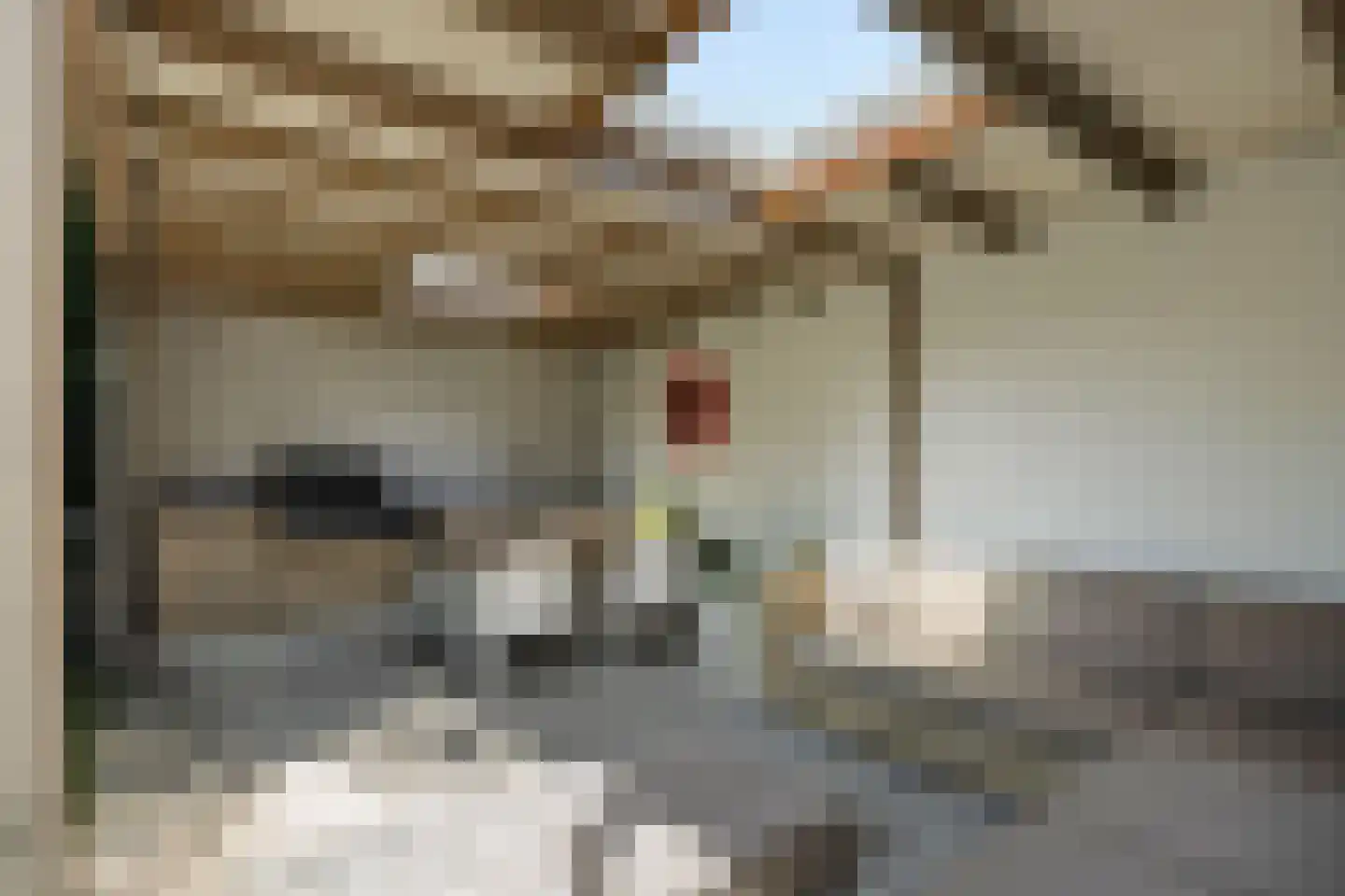 Johan Frisolaan 17 Vught thumbnail 45