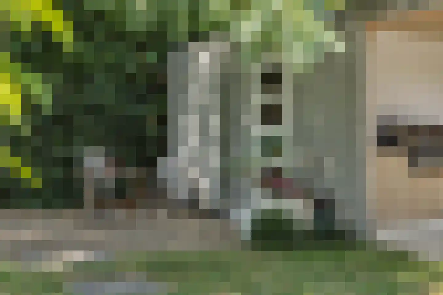 Johan Frisolaan 17 Vught thumbnail 47