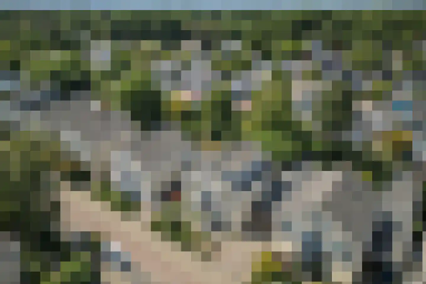 Johan Frisolaan 17 Vught thumbnail 64